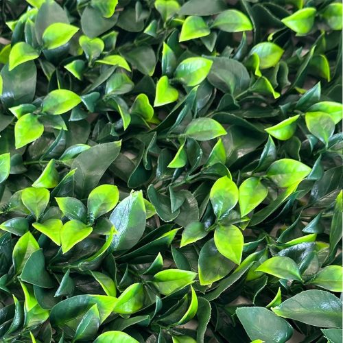 Jardín vertical Gardenia - Imagen 2