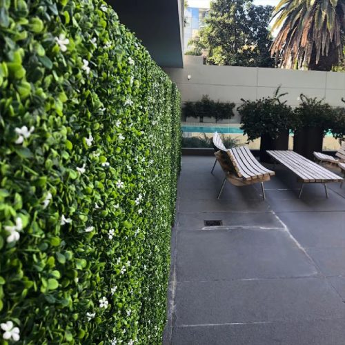 Jardín vertical Jazmín - Imagen 5